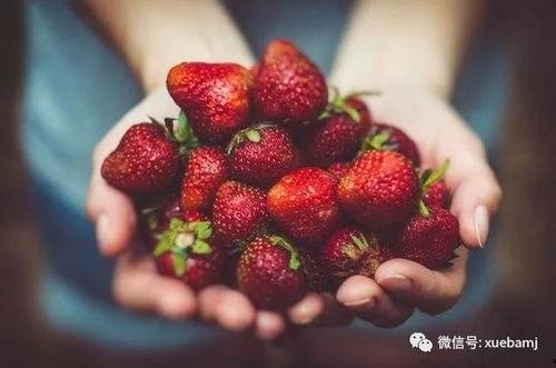 草莓在线无码手机版,畅享私密时光的秘密花园